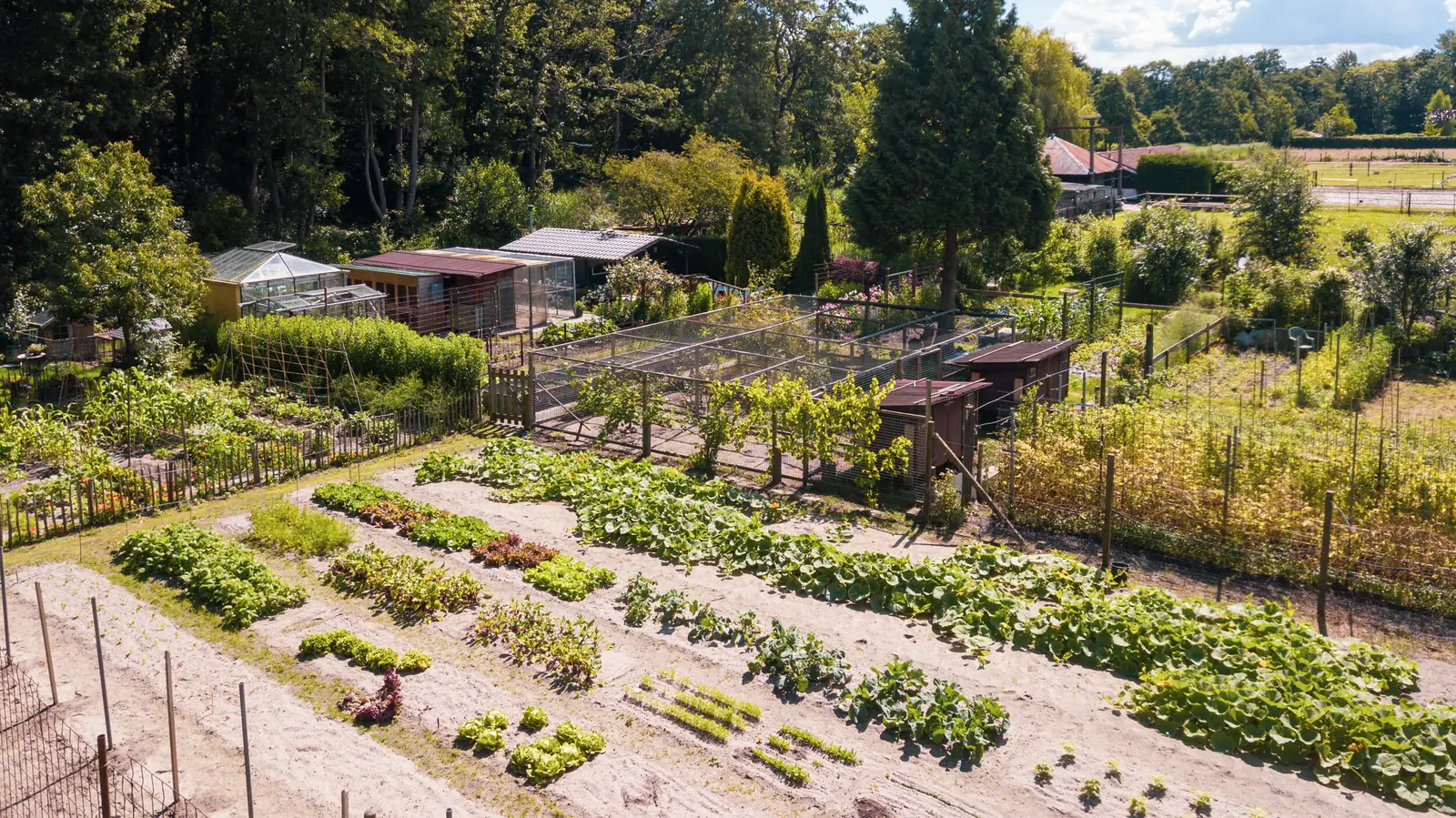 Groentetuin Laantje Voorham in Wassenaar